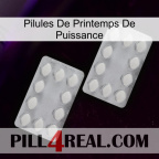 Power Spring Pills 17